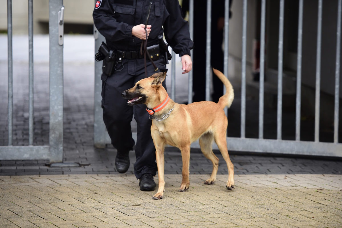 Police officer with police dog