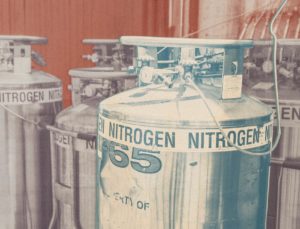 Using Nitrogen Gas For Executions Is Untested And Poorly Understood ...