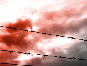 Barbed wire and clouds
