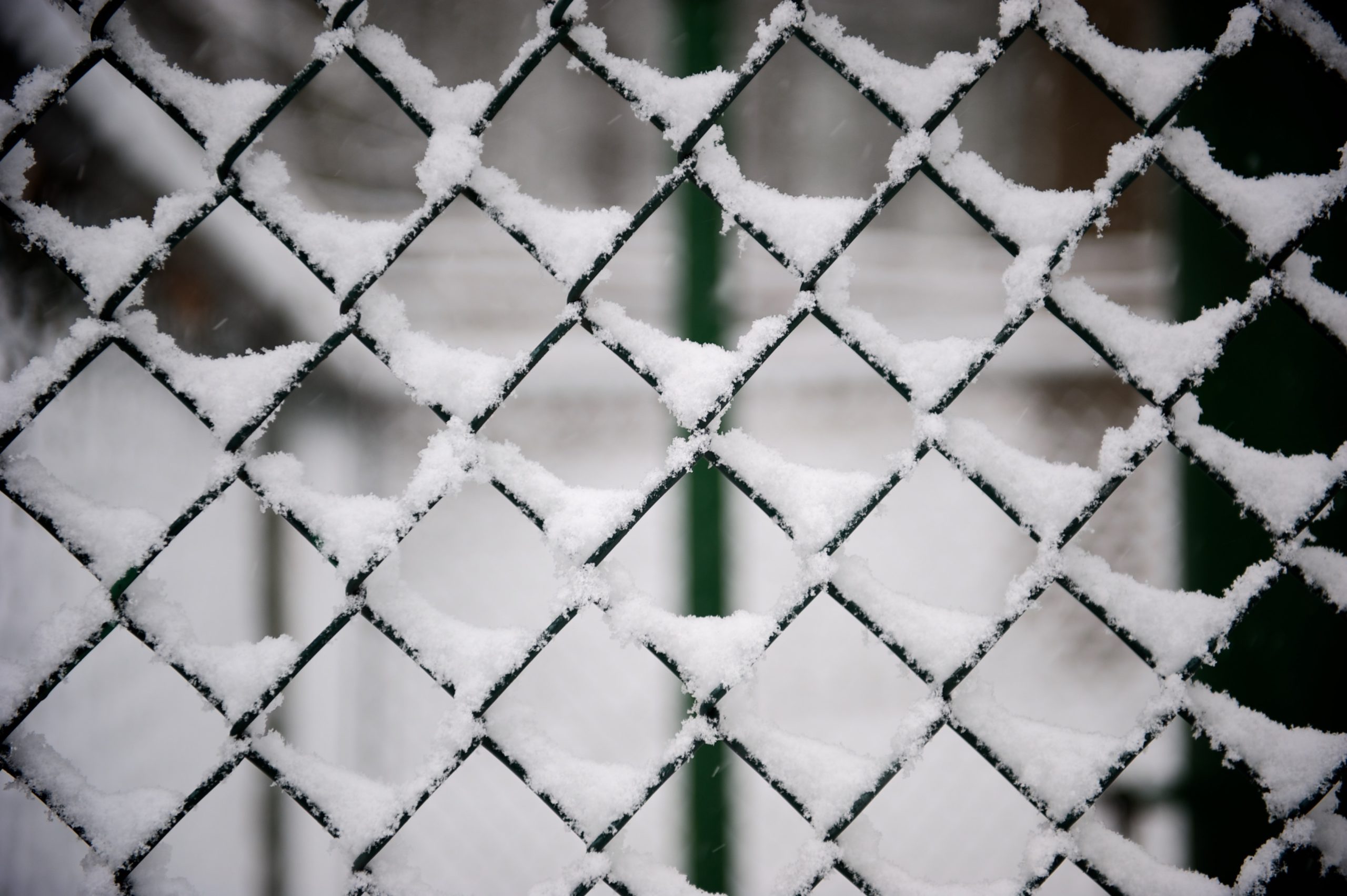 snow on a chain link fence