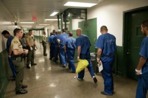 This photo shows imprisoned men lined up in a hallway inside Men's Central Jail in Los Angeles. They are wearing blue jumpsuits and their backs are turned. Guards watch them.