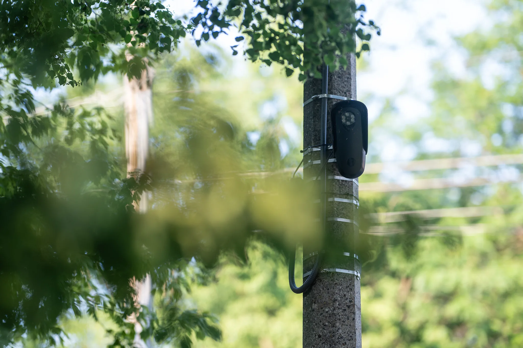 A Flock camera is pictured in Oak Park, Illinois.